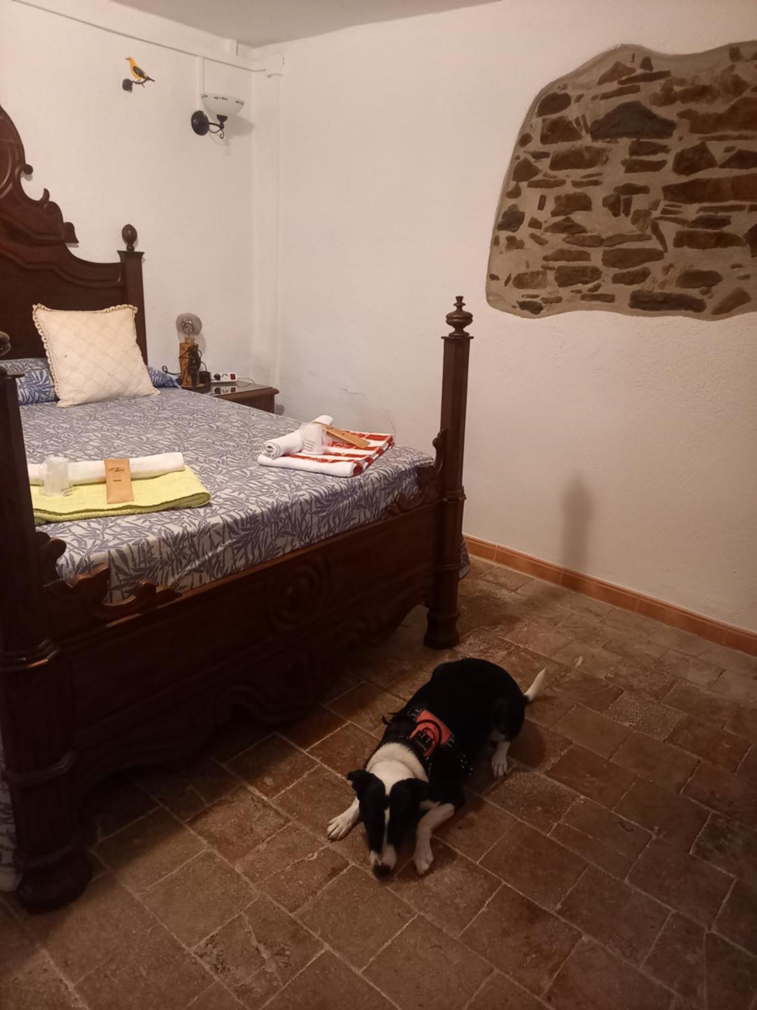 Hostal Rural Mas Blanc San Martin de Centellas Bagian luar foto