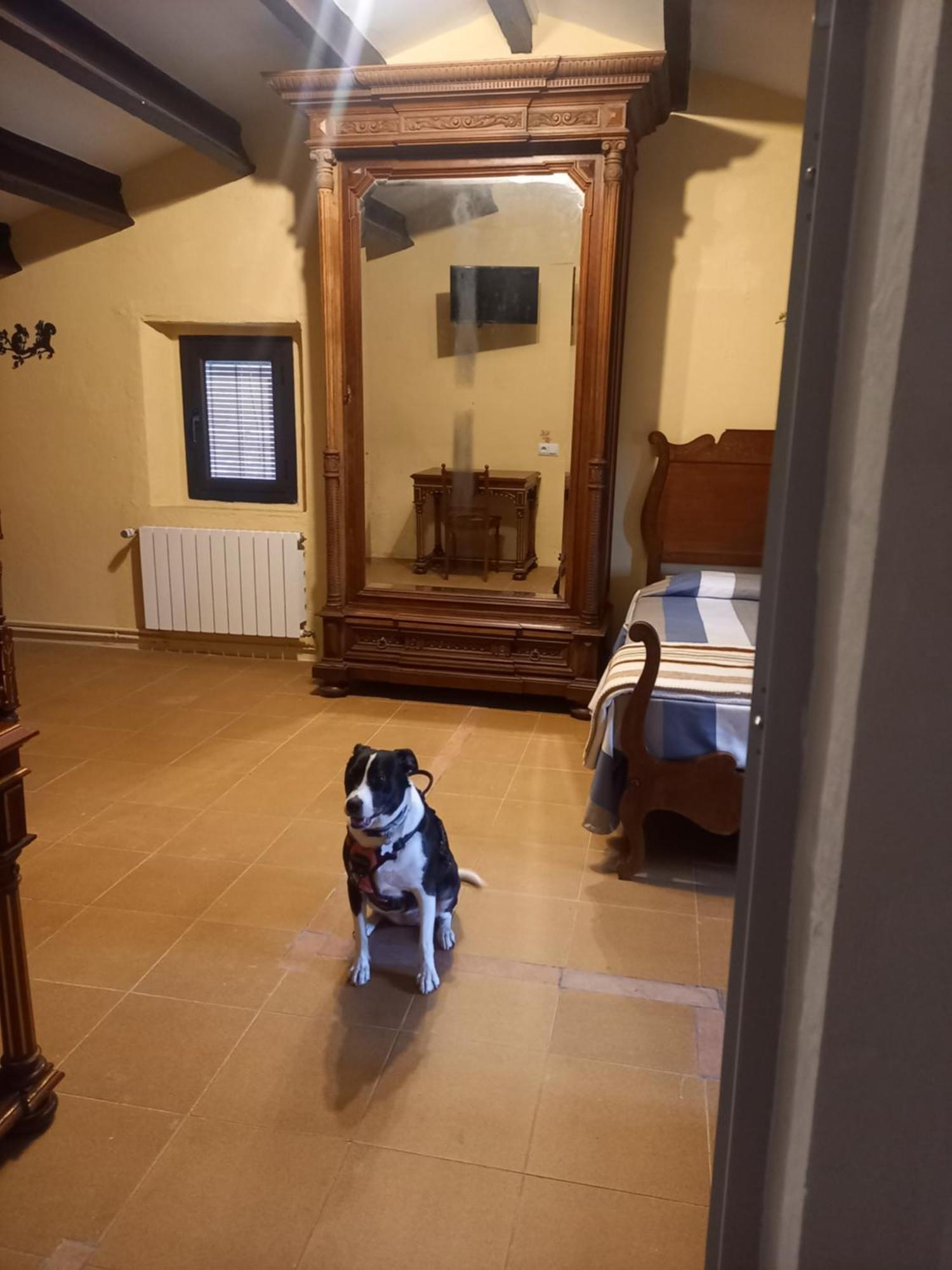 Hostal Rural Mas Blanc San Martin de Centellas Bagian luar foto