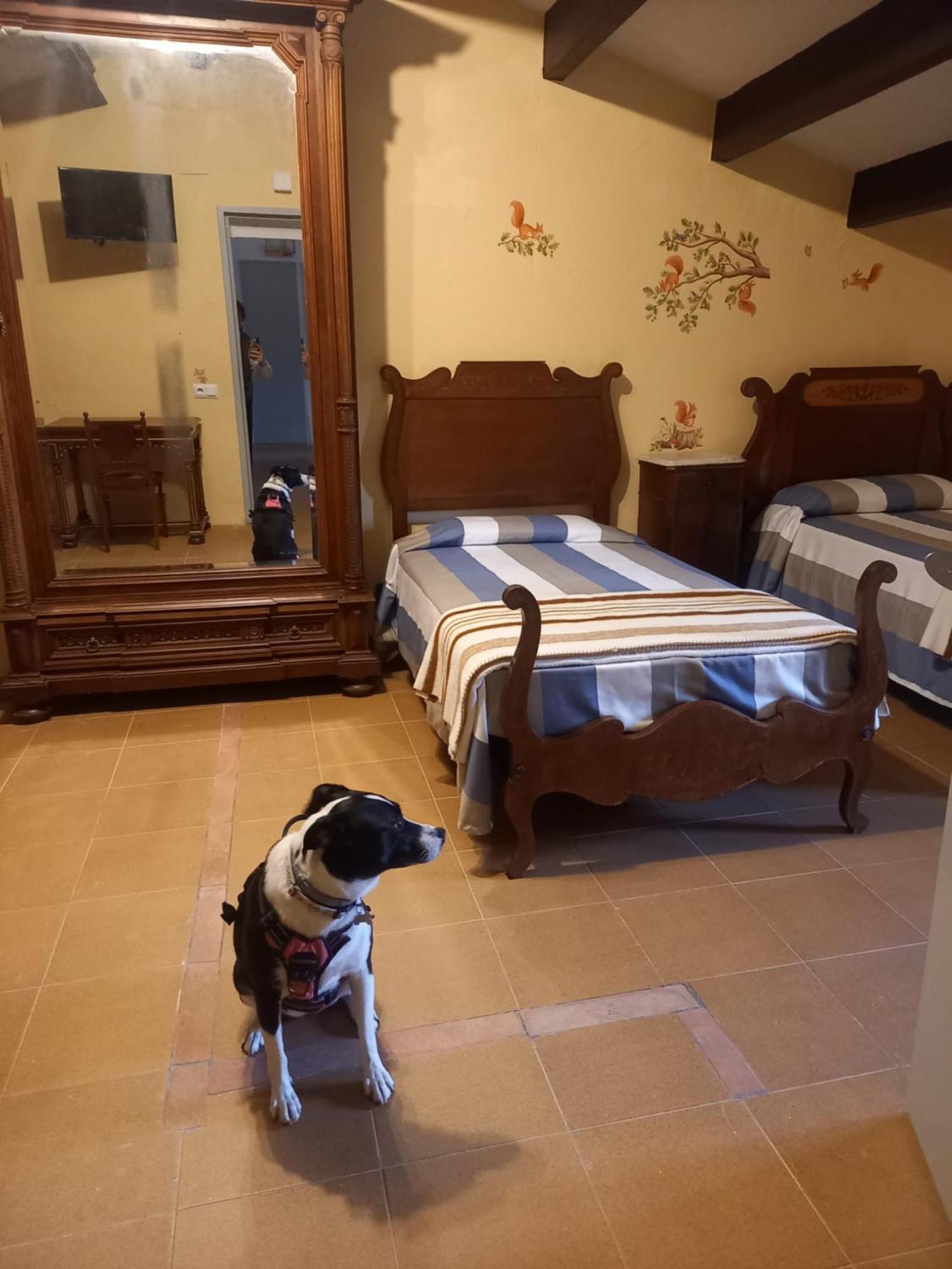 Hostal Rural Mas Blanc San Martin de Centellas Bagian luar foto