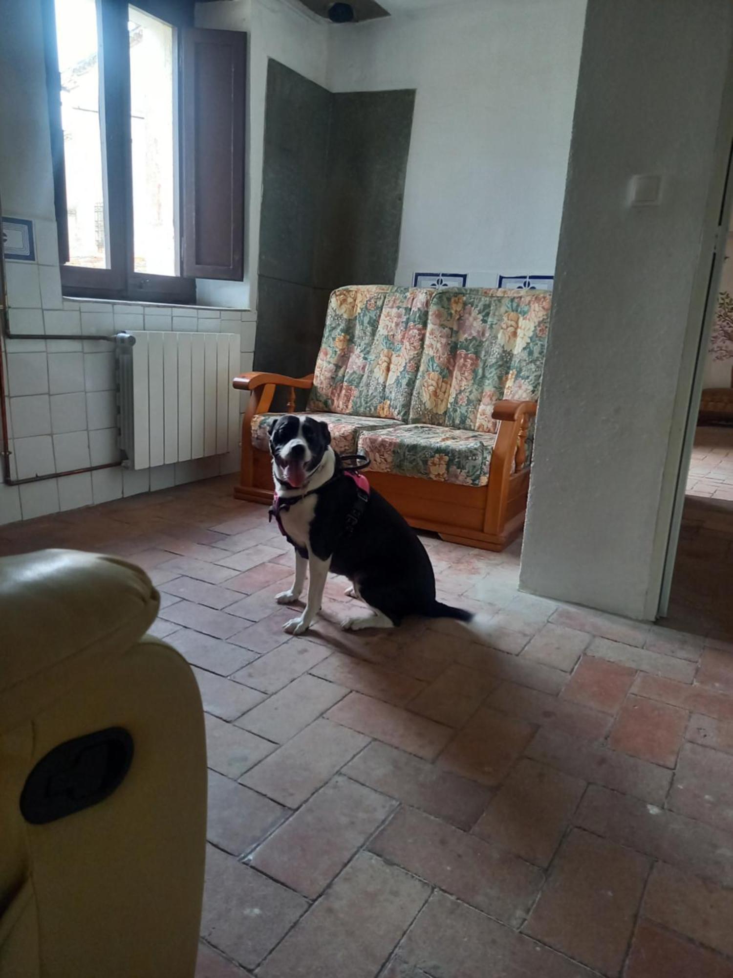 Hostal Rural Mas Blanc San Martin de Centellas Bagian luar foto